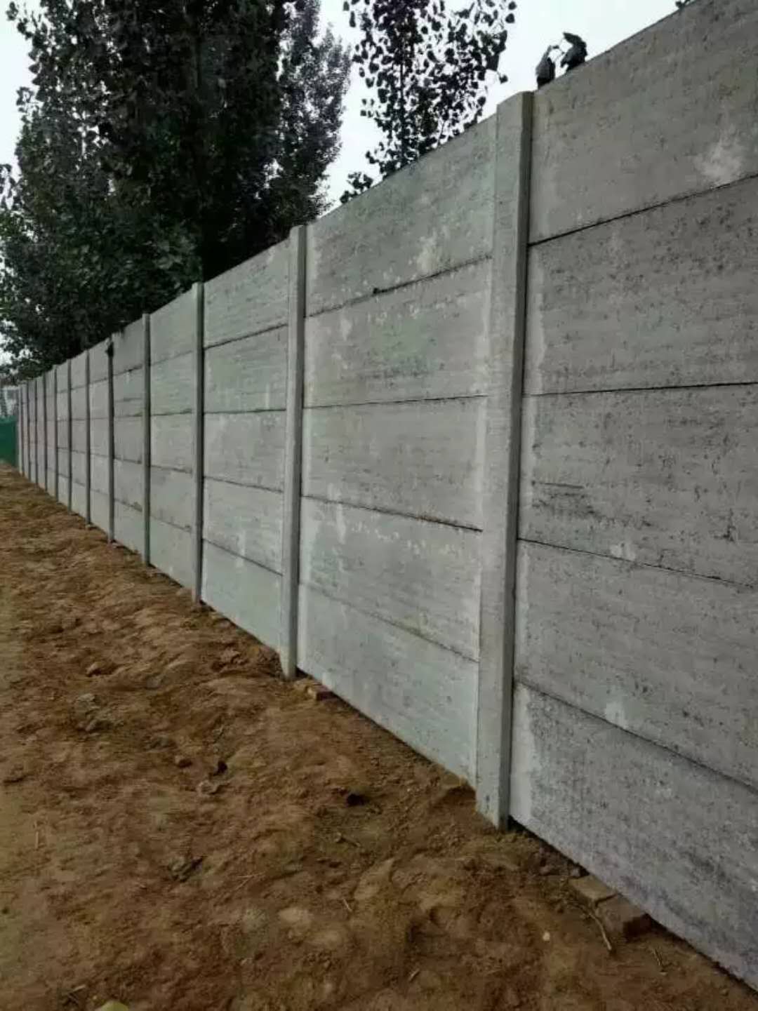 5cm厚度水泥板围墙